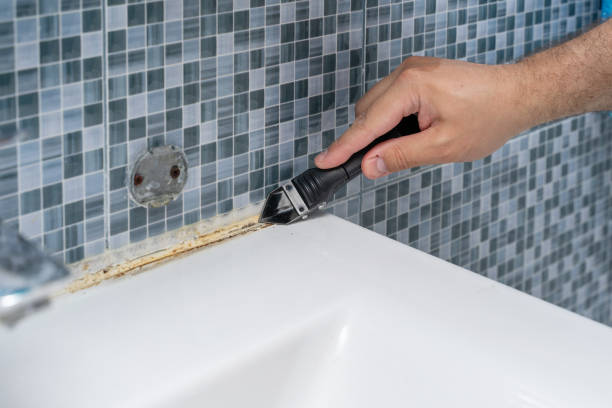Best Affordable Mold Removal  in Waukesha, WI