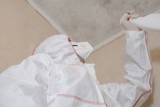 Mold Removal and Inspection in Waukesha, WI